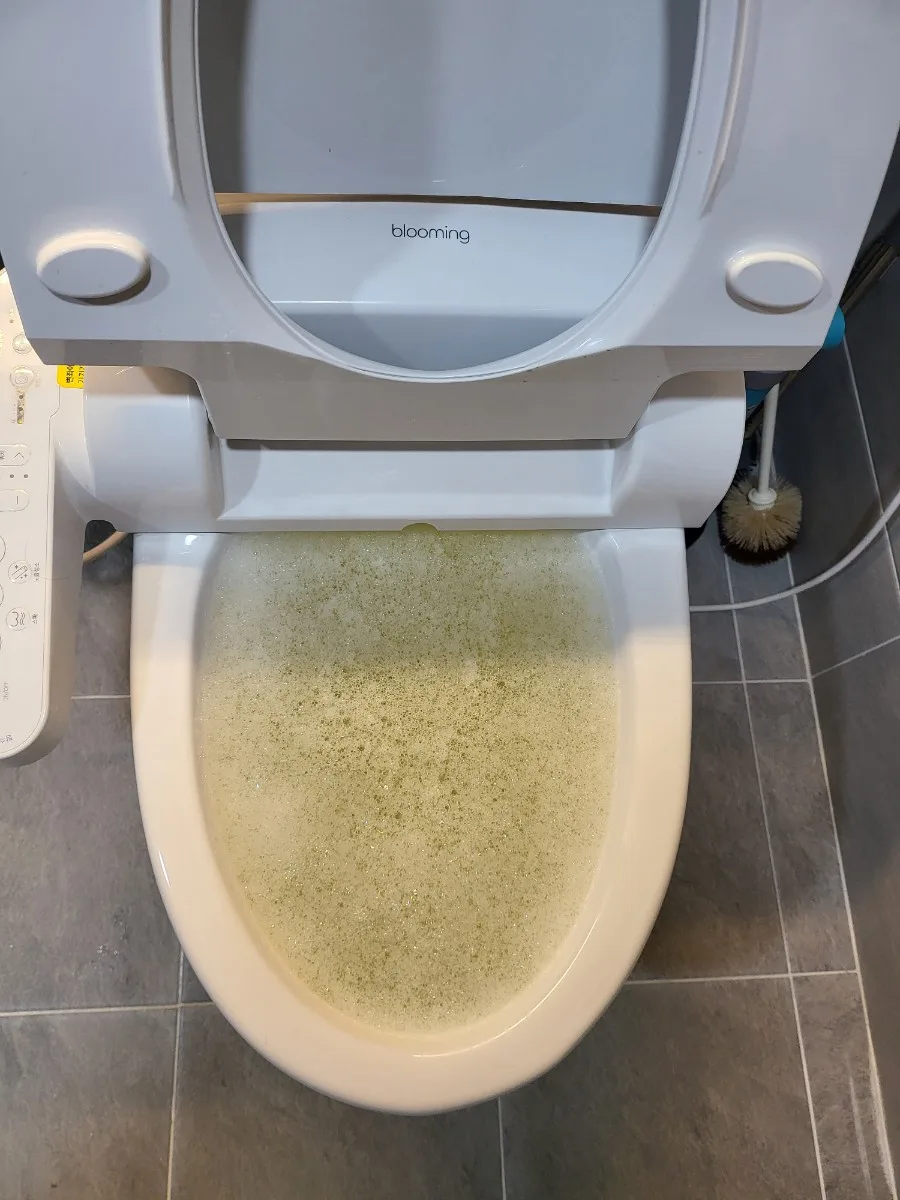 충청남도 보령시 싱크대·변기 막힘 현장 작업 사진 — 직접 대처 요령과 전문가 도움이 필요한 기준