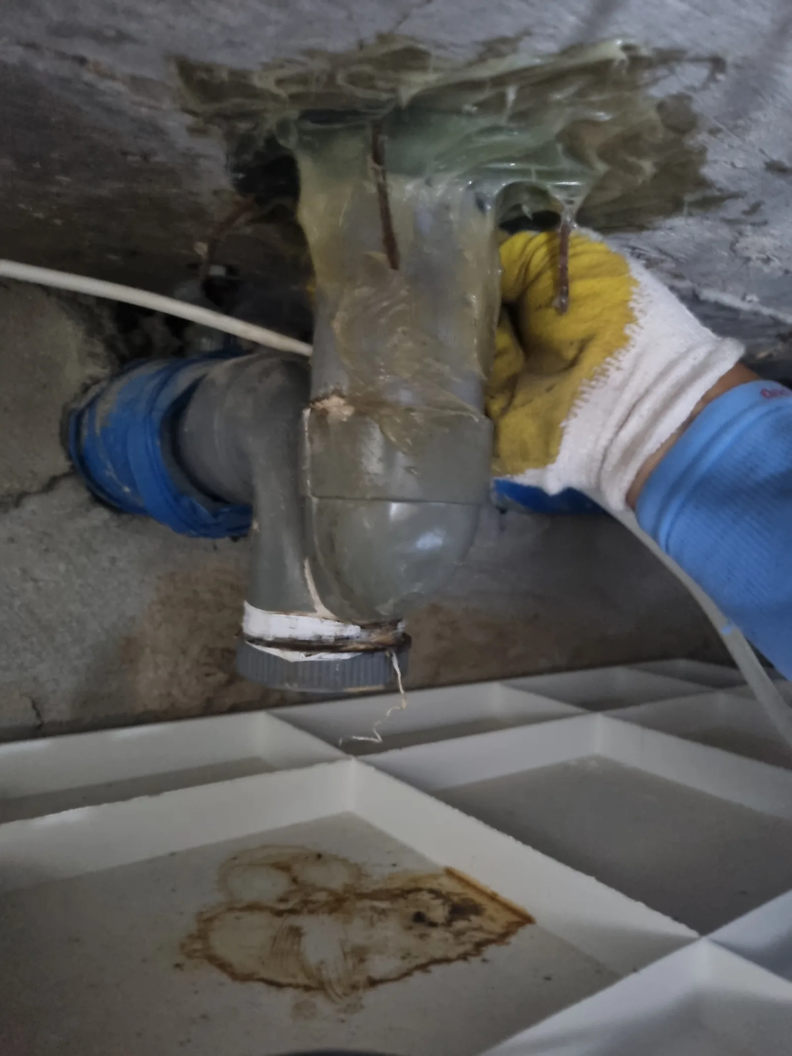 경상북도 고령군 누수 탐지·수리 현장 작업 사진 — 현장에서 이루어지는 정밀 누수 탐지 및 점검 과정